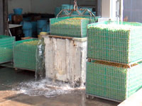 梅肉エキス　宝珠の特徴１０