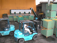 梅肉エキス　宝珠の特徴１２