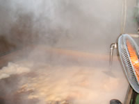 梅肉エキス　宝珠の特徴６