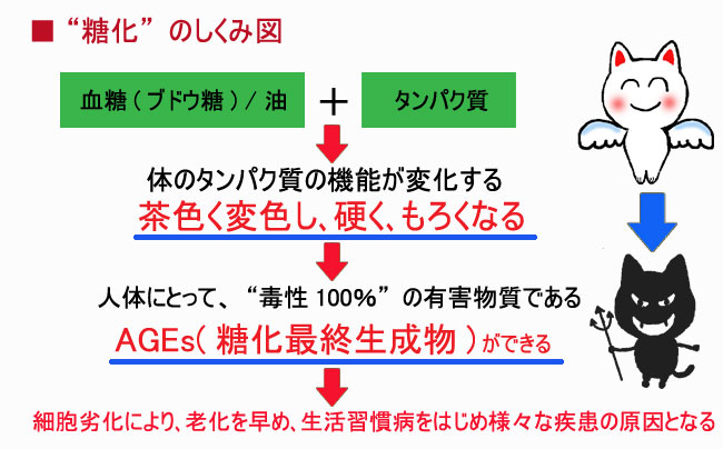 クロガリンダの糖化の仕組み図